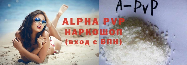 спиды Надым