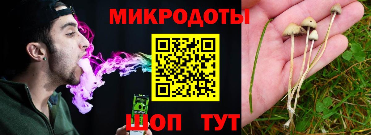 Псилоцибиновые грибы Cubensis Саратов